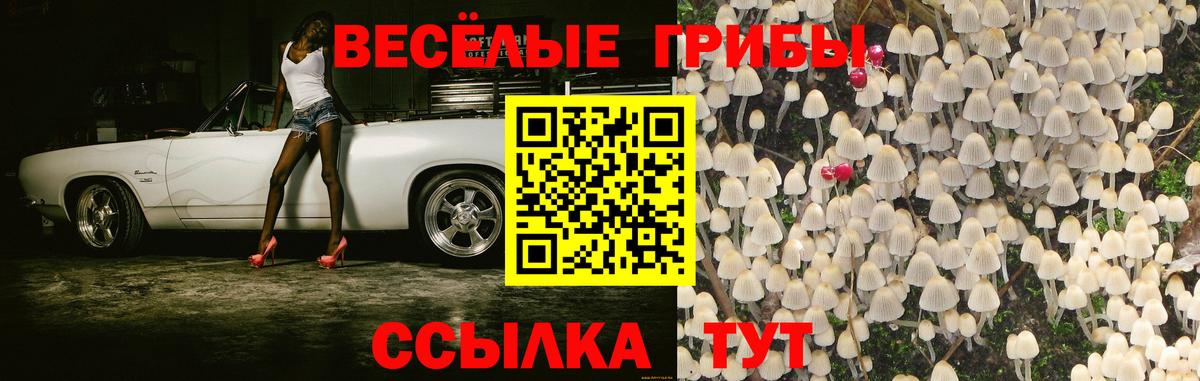Ростов Великий  Галлюциногенные грибы ЛСД  Вход с VPN 